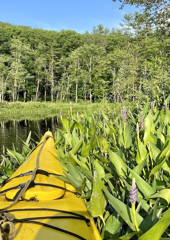 The Finest Paddling Spots in Western Massachusetts