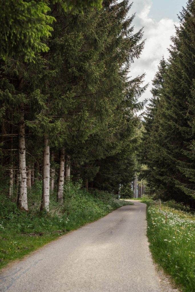 A round path with out cable automobile and little frequented ascent
