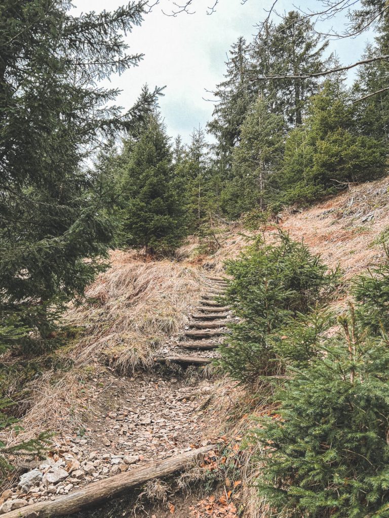 Winter hike on 'the guardian' of the Allgäu