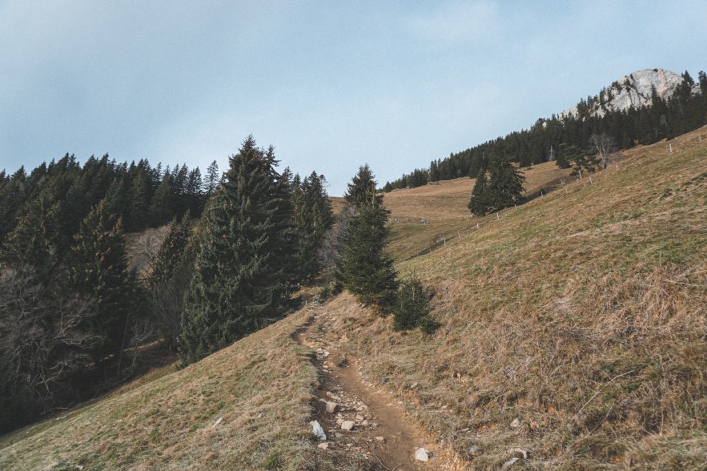Winter hike on 'the guardian' of the Allgäu